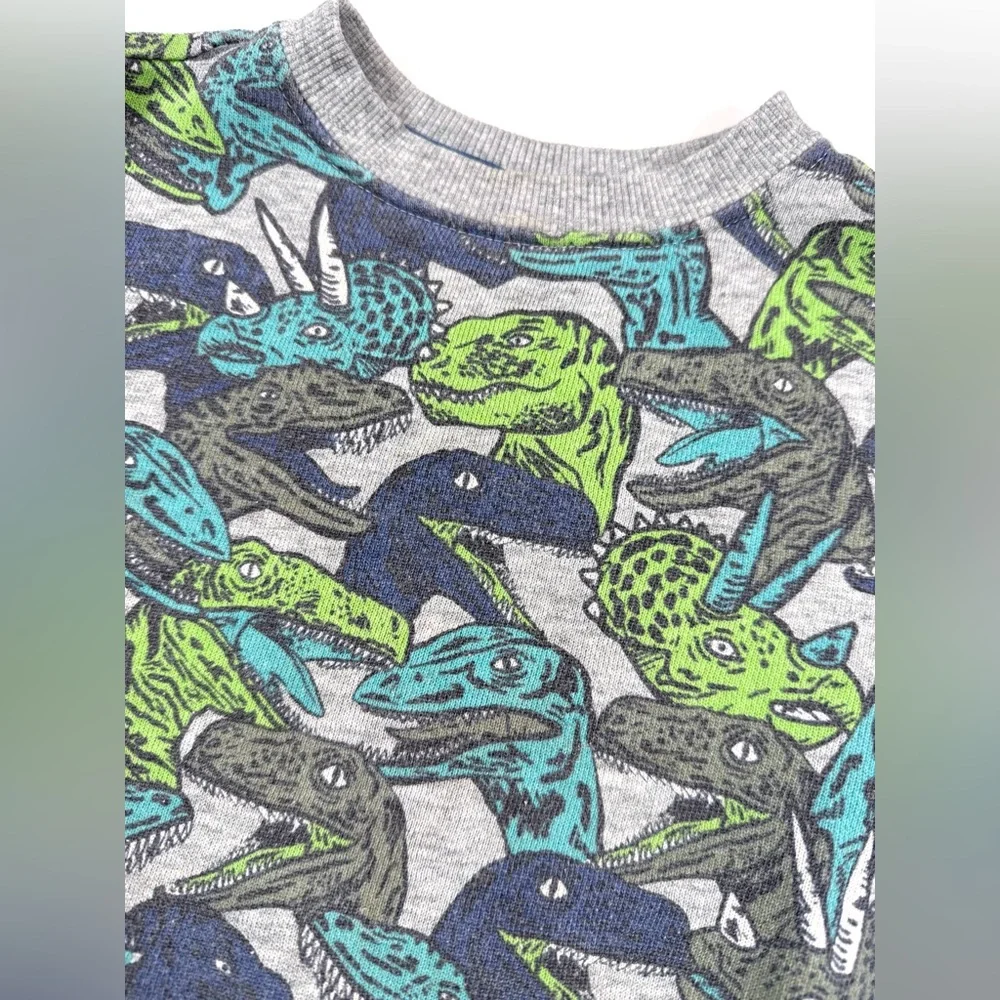 GYMBOREE Boys Dinosaur Sweatshirt 2T Fleece Pullover Playful Prehistoric Print‎